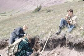 Soil profile and grass in Hunter Basin, Telkwa Range