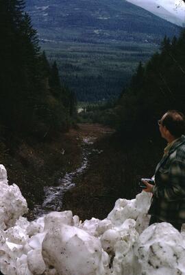 Terry Lewis viewing snow avalanche deposit, Settlers Road, Upper Kootenay River