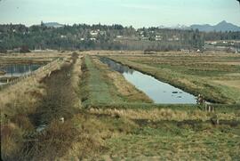 Irrigation ditch near Serpentine Fen