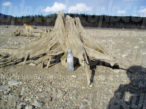 Original Digital object not accessible