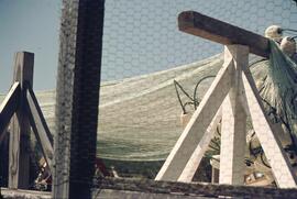 Fishing nets drying on docks at Port Edward