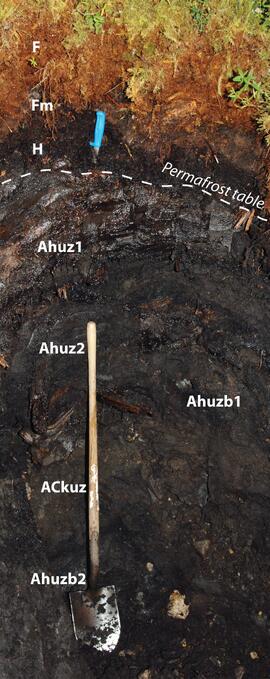 BC12-09 soil profile (annotated)