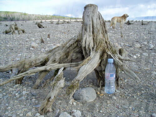 Original Digital object not accessible