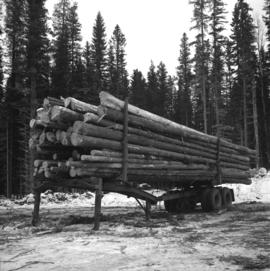 Pulpwood Logging Operations on P.T.S. X91960, Swamp Lake, Prince George Pulp and Paper Ltd. showing close-up of Pre-loading Trailer and Typical Load of pulp wood