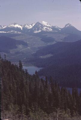 Forest harvesting in Nimpkish Valley