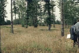 Surveying for soil samples near Comox