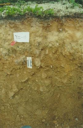 Y02-15 (Rock Ck - WM surface paleosol) - 01