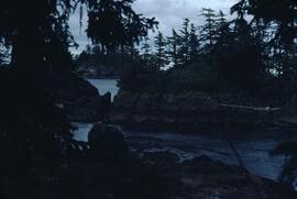 Tar Islands in the Queen Charlotte Islands