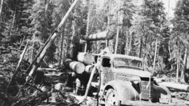 Loading raw logs onto a 'Maple Leaf' Chevrolet truck