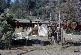 Drying fish at Chilko River