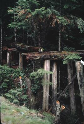Old logging railway tressel near Squamish