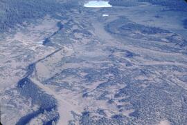 Aerial view of vegetation at Cold Fish Lake