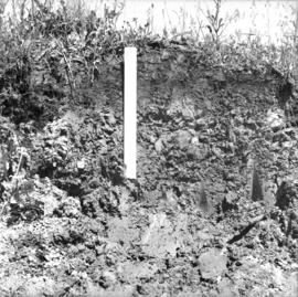 Soil development over lacustrine deposits at Giscome in 1922 fire area