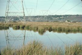 Powerlines over wetlands near Serpentine Fen
