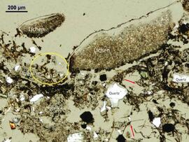 Klutlan Glacier soils study images: Thin section micrographs