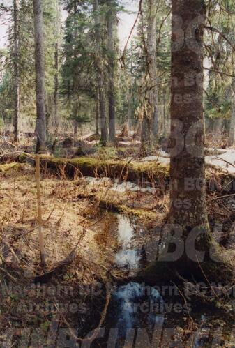 Original Digital object not accessible