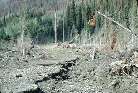 Skid trail erosion at Jumbo Creek