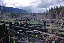 Slash burning at McCully Creek