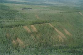 Aerial views (E 15 Mile to Rock Ck) - 15