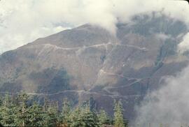 View of logging roads and clearing at Alice Ridge