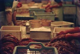 Salting and boxing fish at Cassiar Cannery in Port Edward