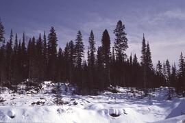 Summit Lake, March 1992