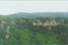 15 Mile R site aerial view - 02