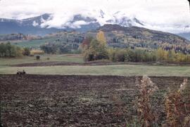 Fall colours and farmland near Smithers