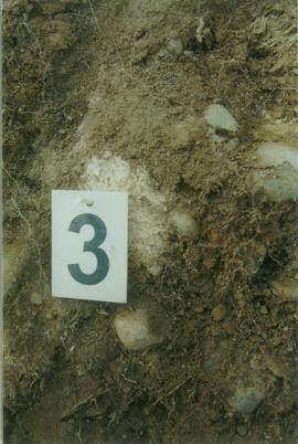 Y02-25  Div Ck soil on Reid terrace, McQuesten R - 11
