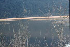 Pitt River at Pitt Polder Ecological Reserve