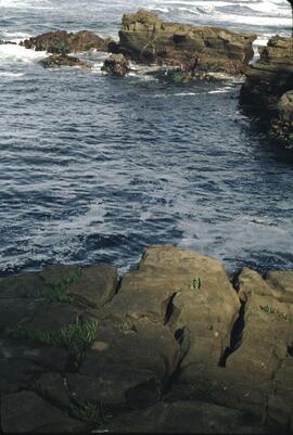 Rocky shoreline at southern area of Mabens Beach