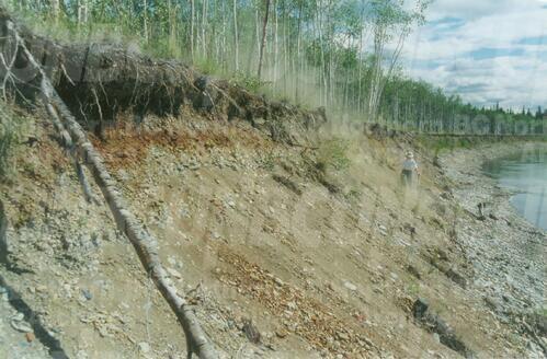 Original Digital object not accessible