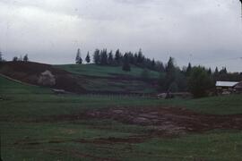 Farmlands at Matsqui