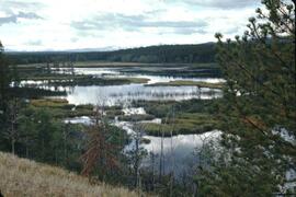 Waterfowl marsh south of Hanceville