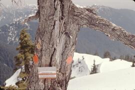 Sign on Unnecessary Mountain