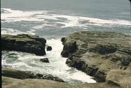 Rocky shoreline between Cullite and Thrasher Cove on the West Coast Trail