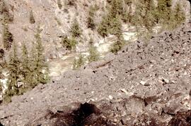 Trail through Ponderosa pine above the Stein River