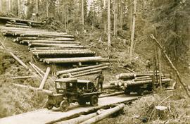 Loading Logs on truck from skidway at Giscome, BC