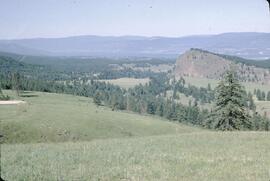 View from McCulloch Road