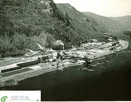 "Celgar Pulp and Lumber Divisions"