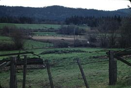 Pasture near Lantzville for Agricultural Land Commission appeals