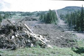 Cleared slope on Hudson's Bay Mountain near Smithers