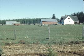 Stony farmland near Ainsworth