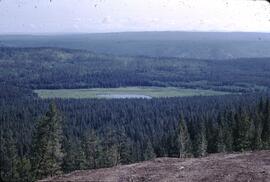 Forested plateau from lookout near Williams Lake