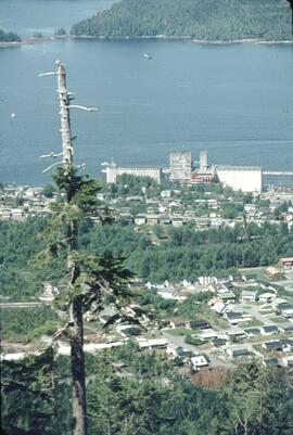 View of Prince Rupert from Mount Hays