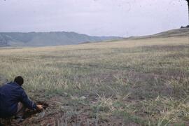 Ian Sneddon and Stipa grassland at Alkali Lake Ranch