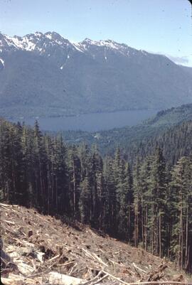 Logging scene at Nimpkish Lake