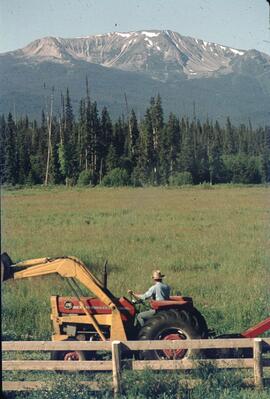 Man driving Massey Ferguson 175 tractor on ranchland near Moricetown