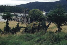 Old dock and Edgewater Fortune near Rose Harbour in the Queen Charlotte Islands