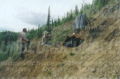 Original Digital object not accessible